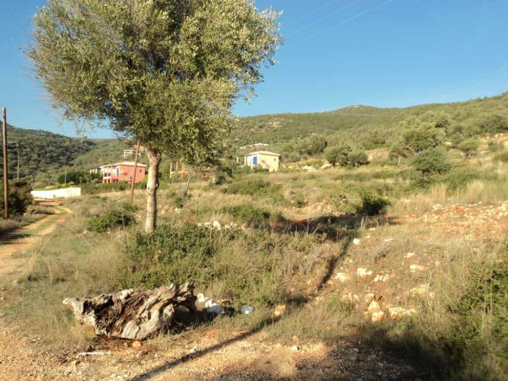 Tanah dalam Alexandros, Ionia Nisia 11723574