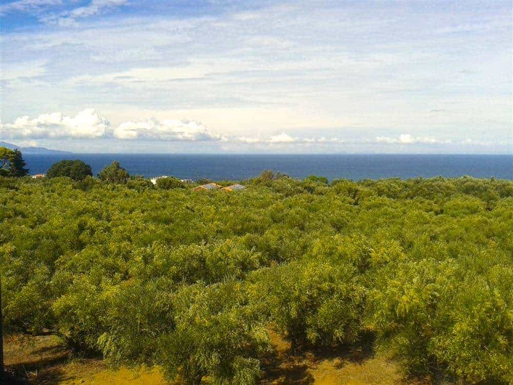 Land in Gaitani, Ionia Nisia 11723632