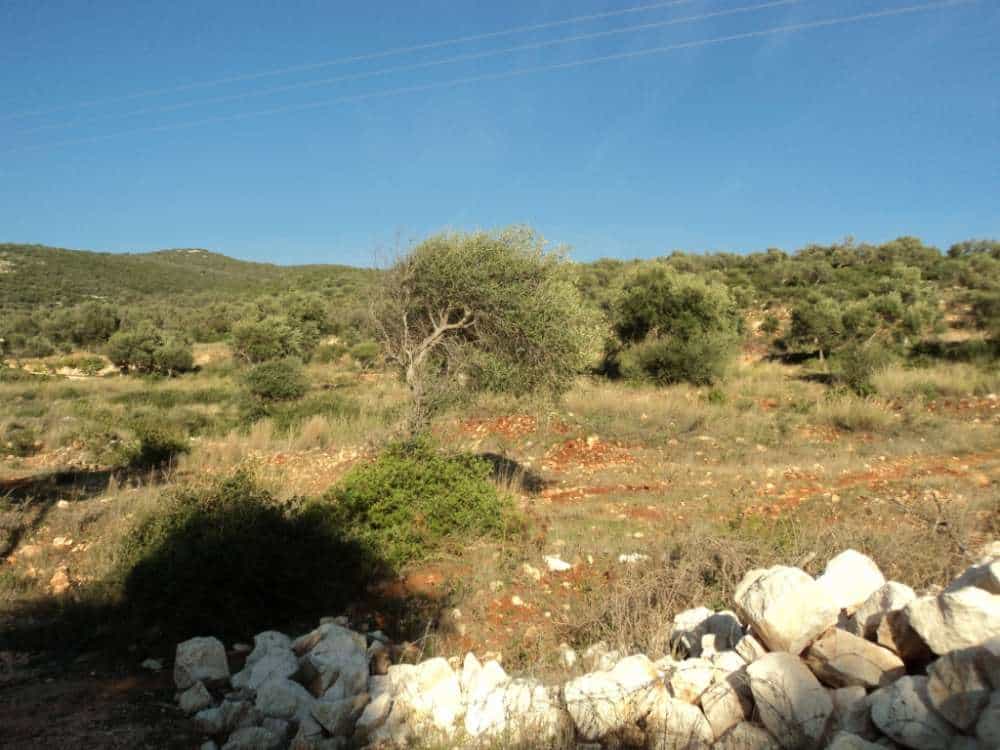 Tanah dalam Alexandros, Ionia Nisia 11723641
