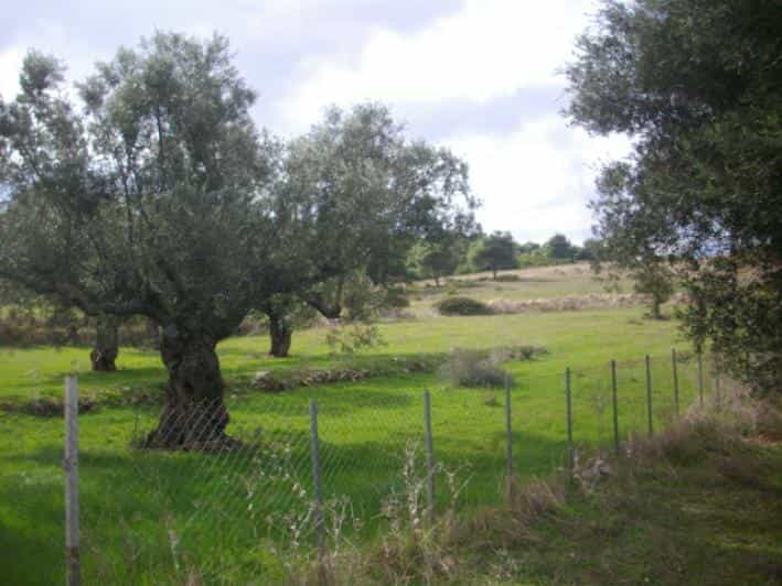 Tanah dalam Gaitani, Ionia Nisia 11723669
