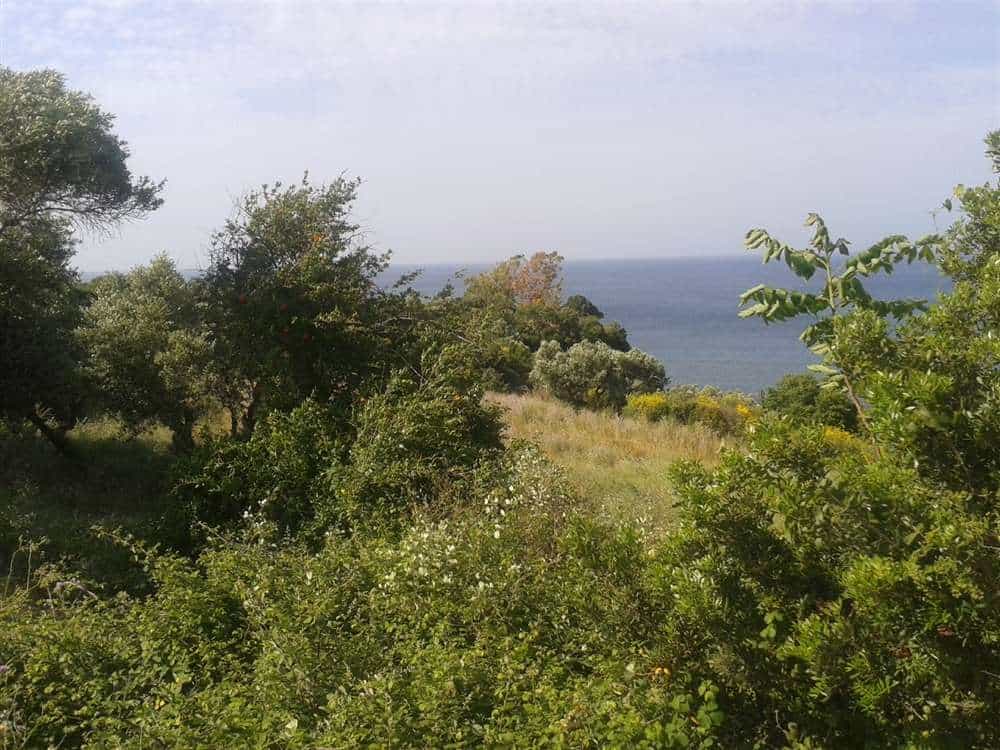 Land in Gaitani, Ionia Nisia 11723773
