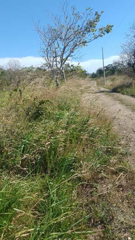 Land in La Cruz, Provincia de Guanacaste 11723800