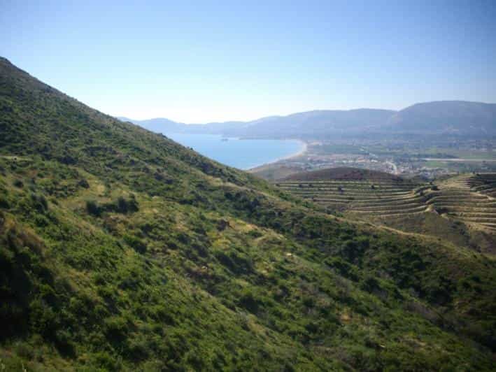 Tanah dalam Gaitani, Ionia Nisia 11723906