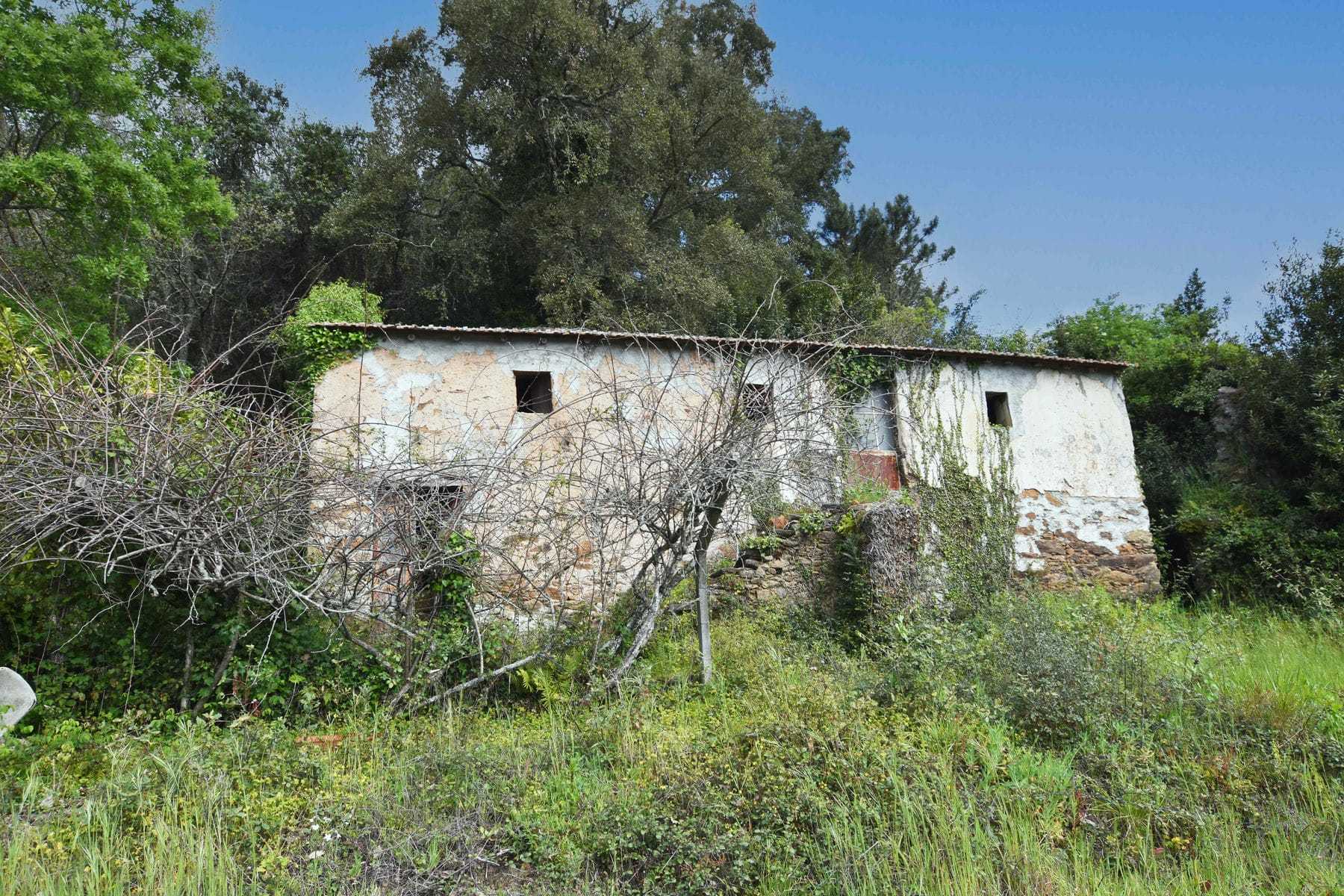 Huis in Casal de São Bras, Leiria 11724169