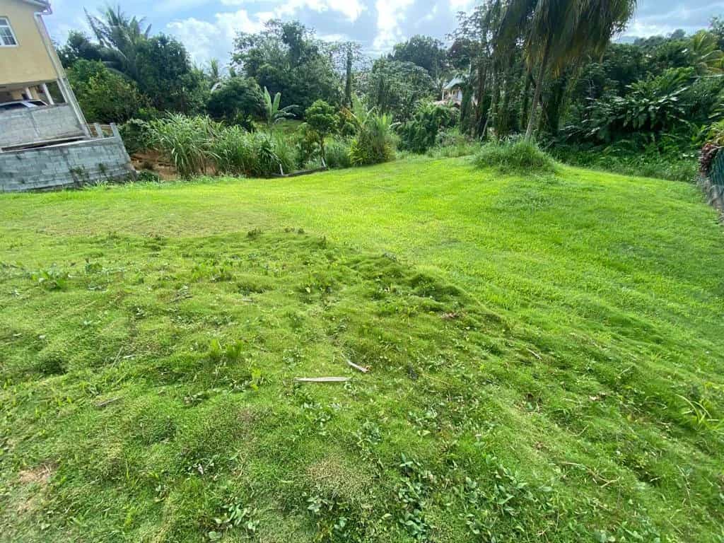 Land in Gros-Morne, Martinique 11726468