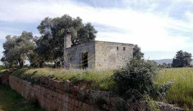 Tanah dalam Fasano, Puglia 11728342