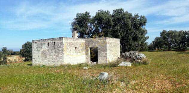 Tanah dalam Fasano, Puglia 11728342