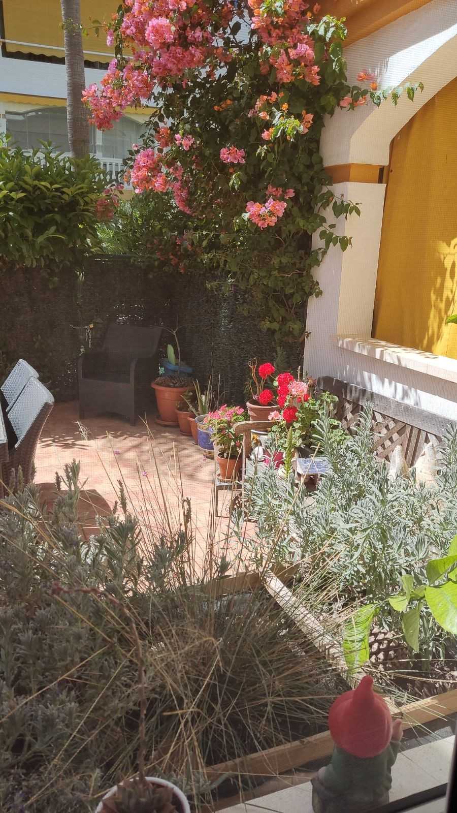 公寓 在 Marbella, Andalucía 11733164