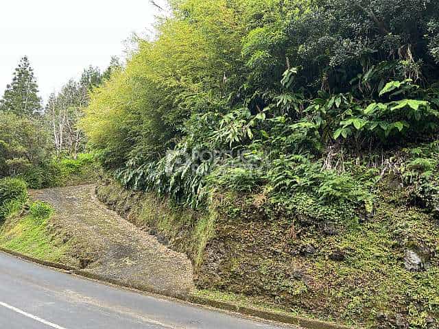 Land in Ponta Delgada, Azoren 11733481