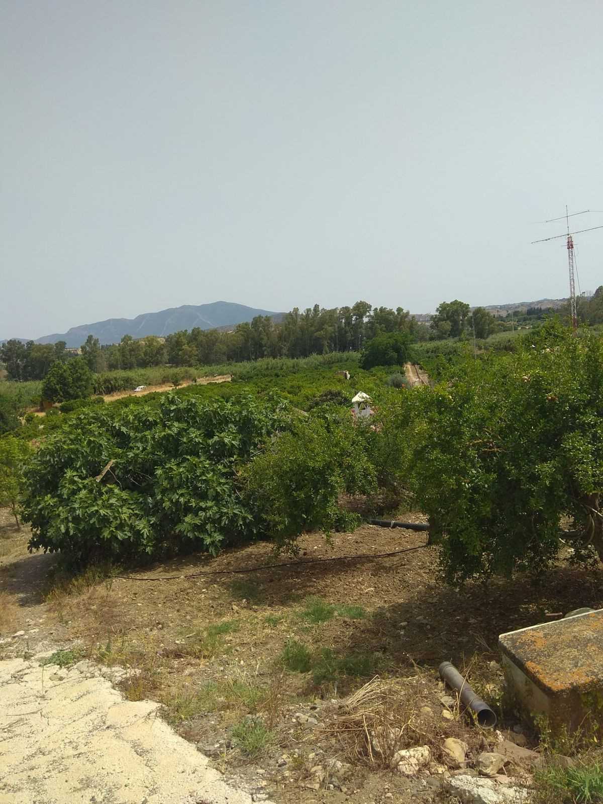 Land in Coin, Andalusia 11738598