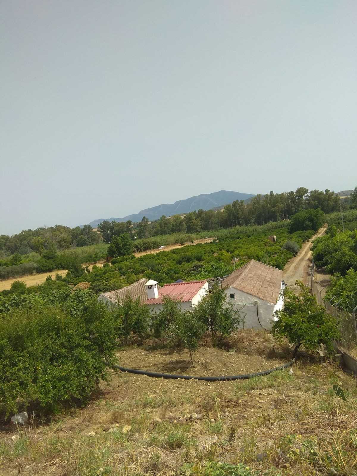 Land in Coin, Andalusia 11738598