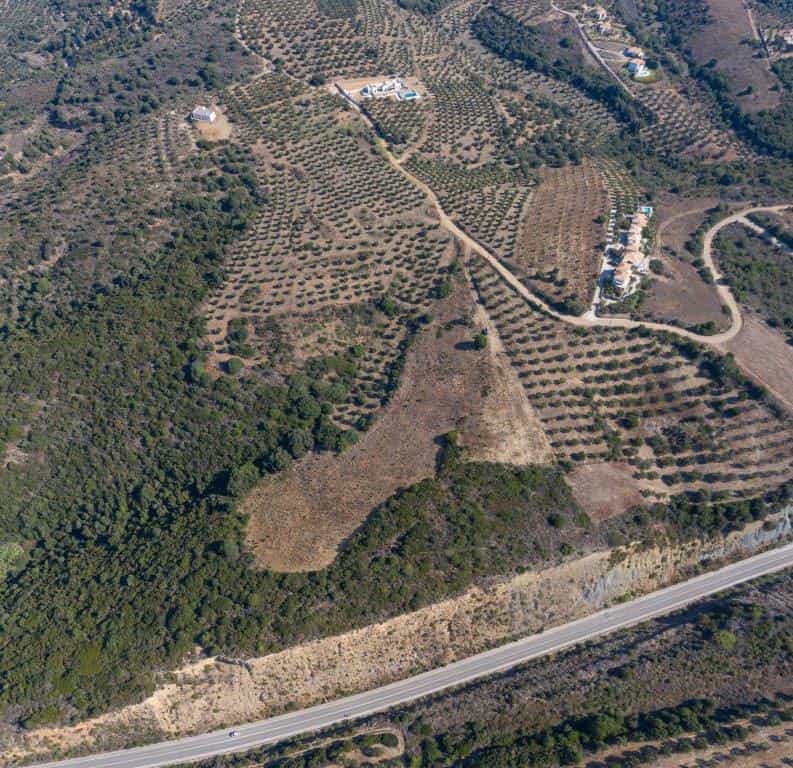Tanah di Pitsiota, Sterea Ellada 11739632