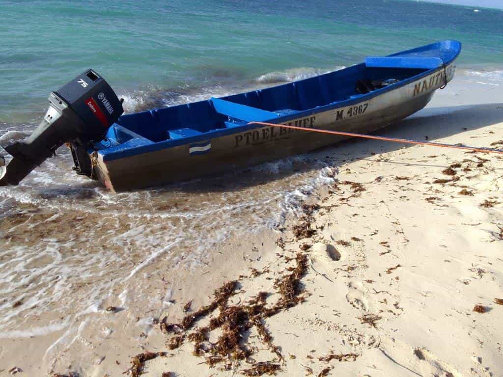 Sbarcare nel Raitipura, Región Autónoma de la Costa Caribe Sur 11739790
