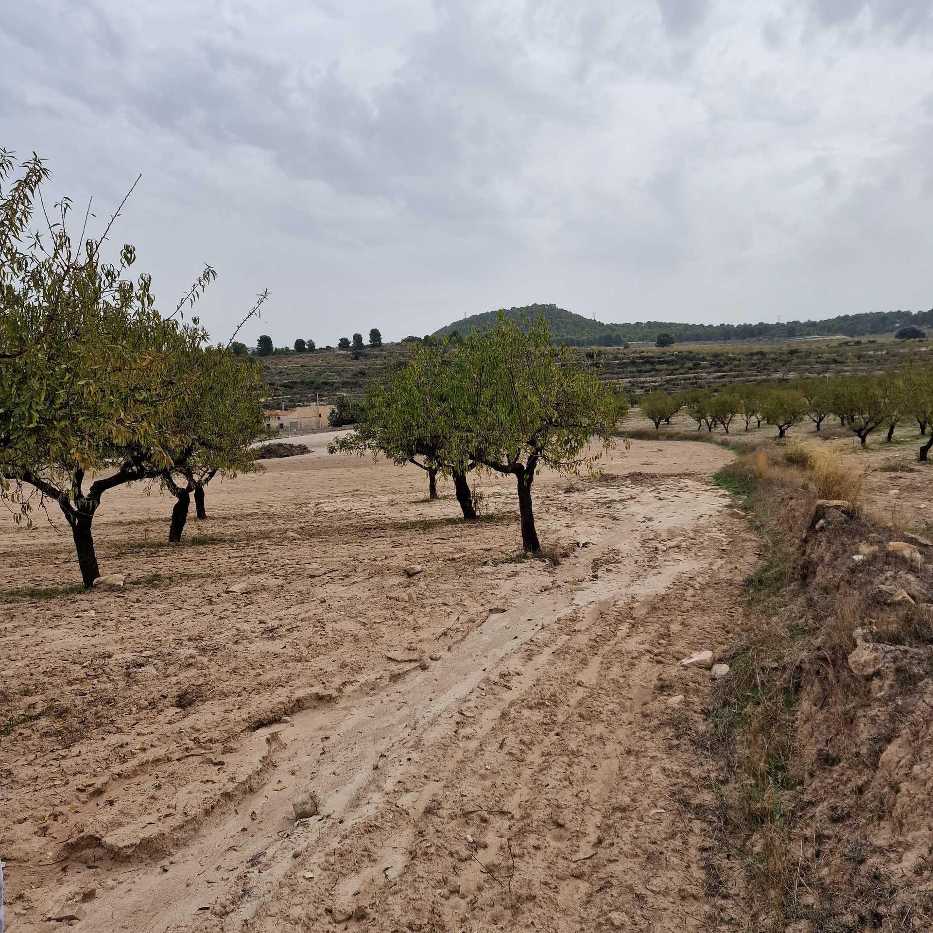 Tanah di Moratalla, Murcia 11739800