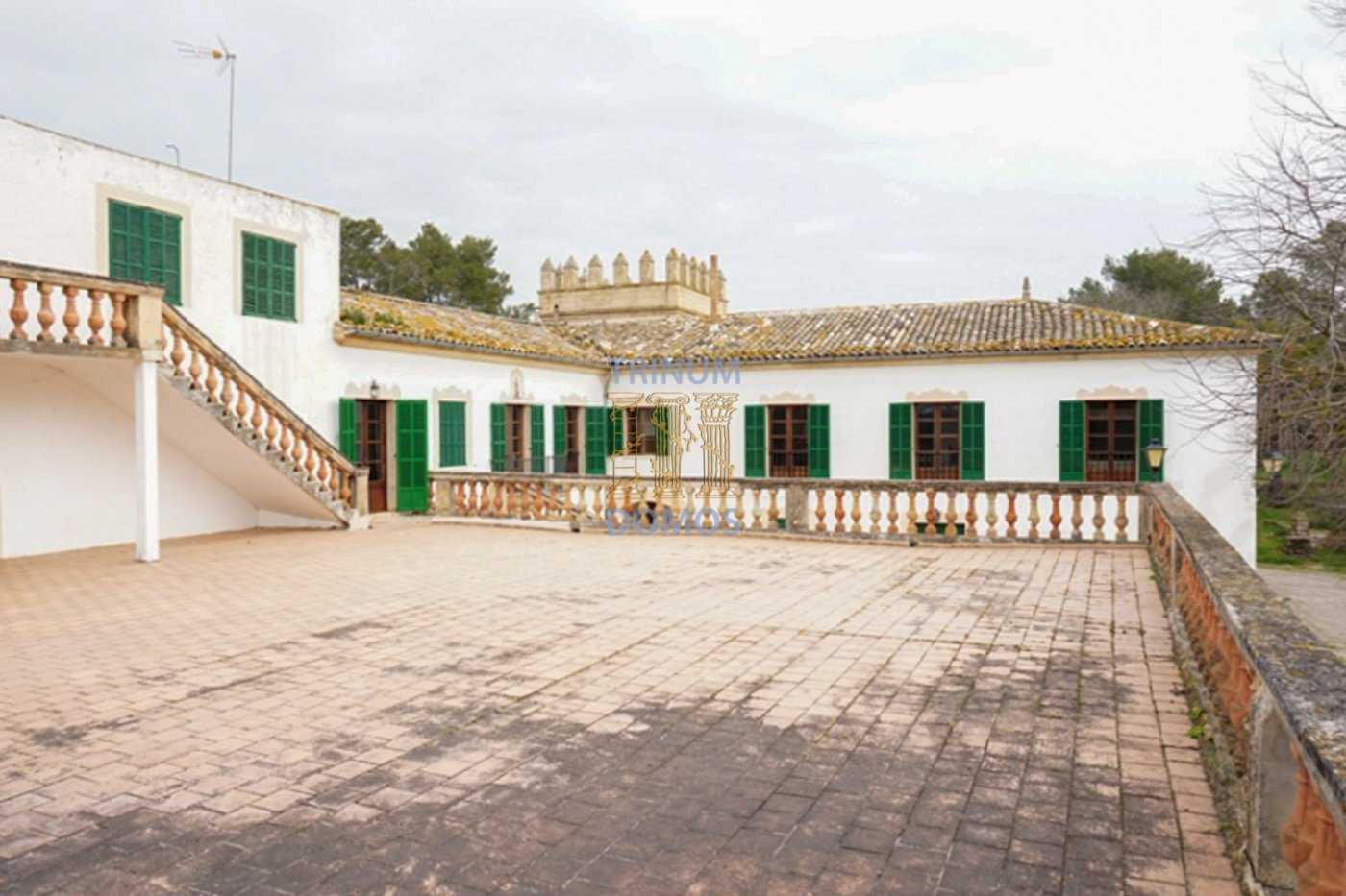 House in Maria de la Salut, Balearic Islands 11743696