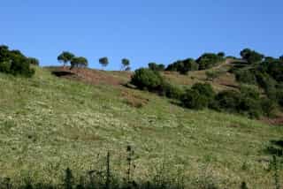 Ejerlejlighed i Sotogrande, Andalusia 11744814
