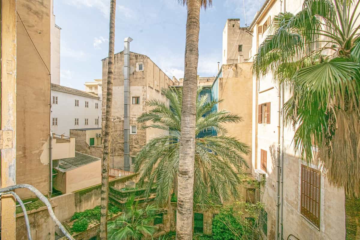 Other in Palma, Balearic Islands 11746831