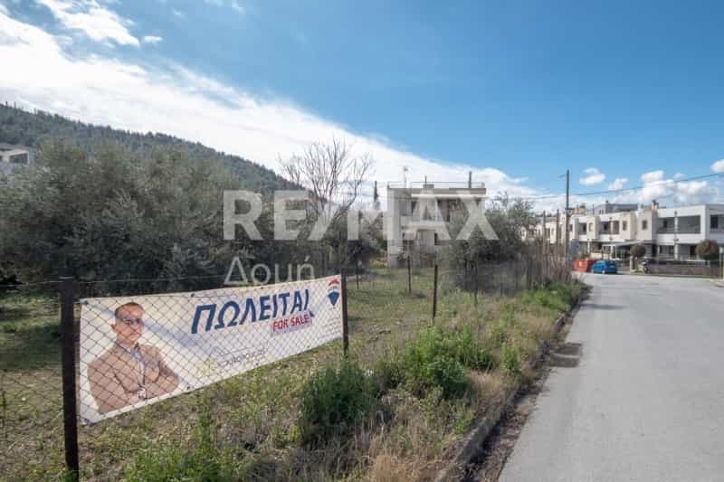 Land in Volos,  11751247