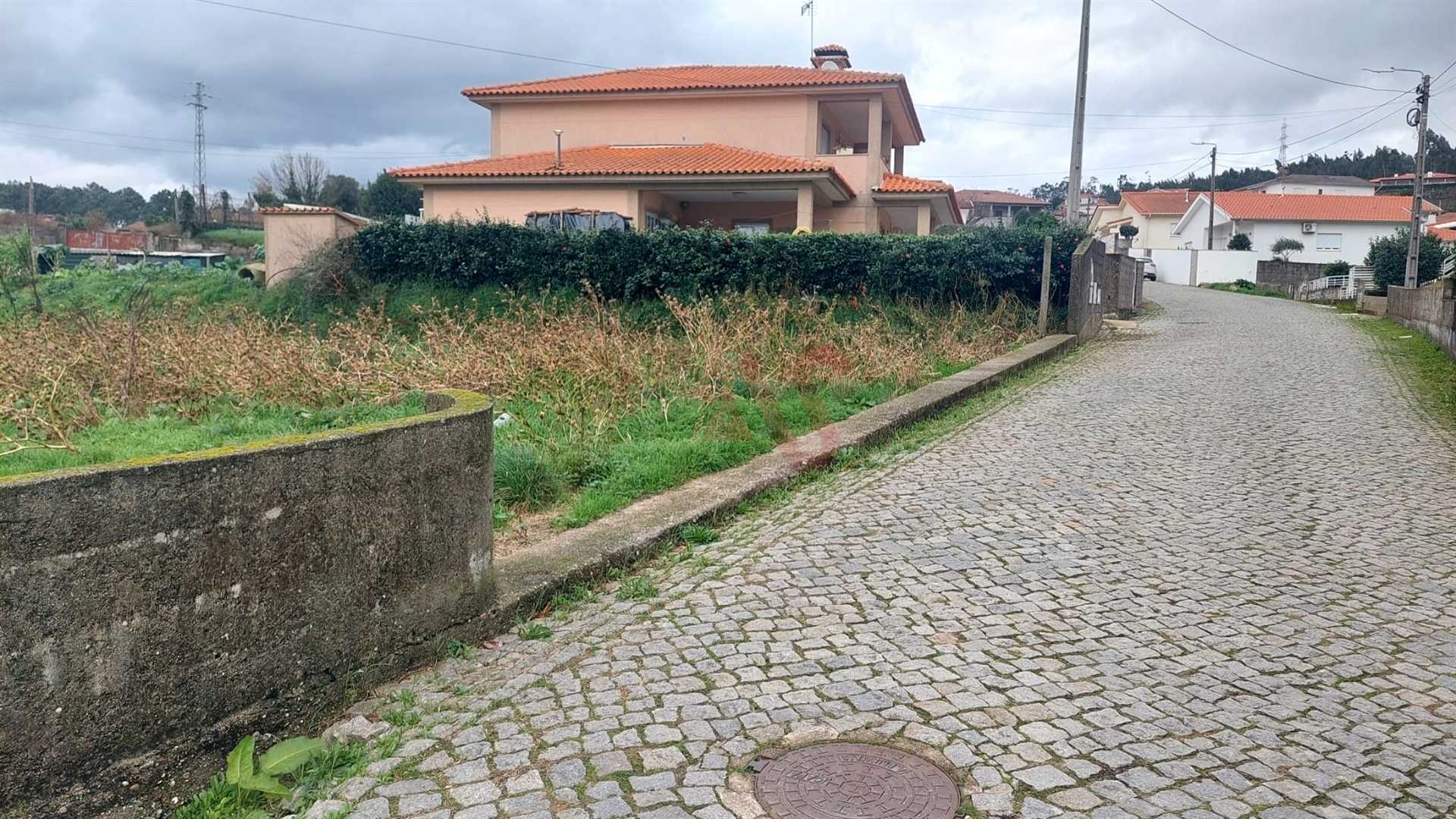 Terra no , Porto District 11751671