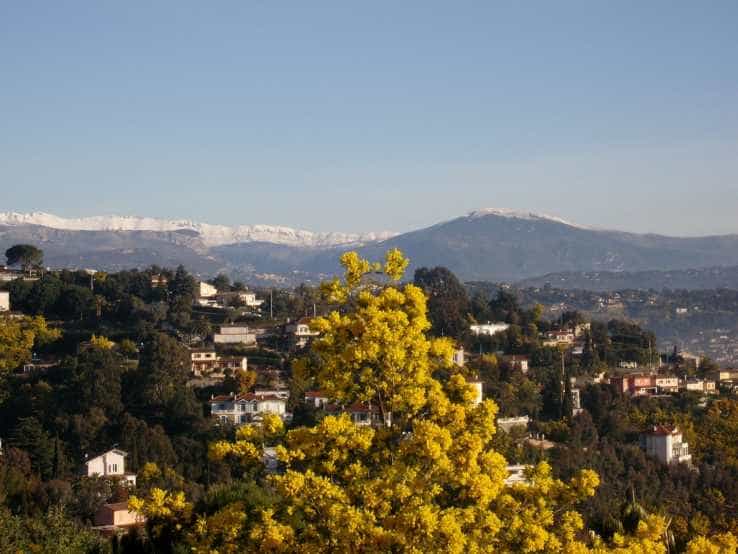 Eigentumswohnung im Mandelieu-La Napoule, Provence-Alpes-Côte d'Azur 11752382