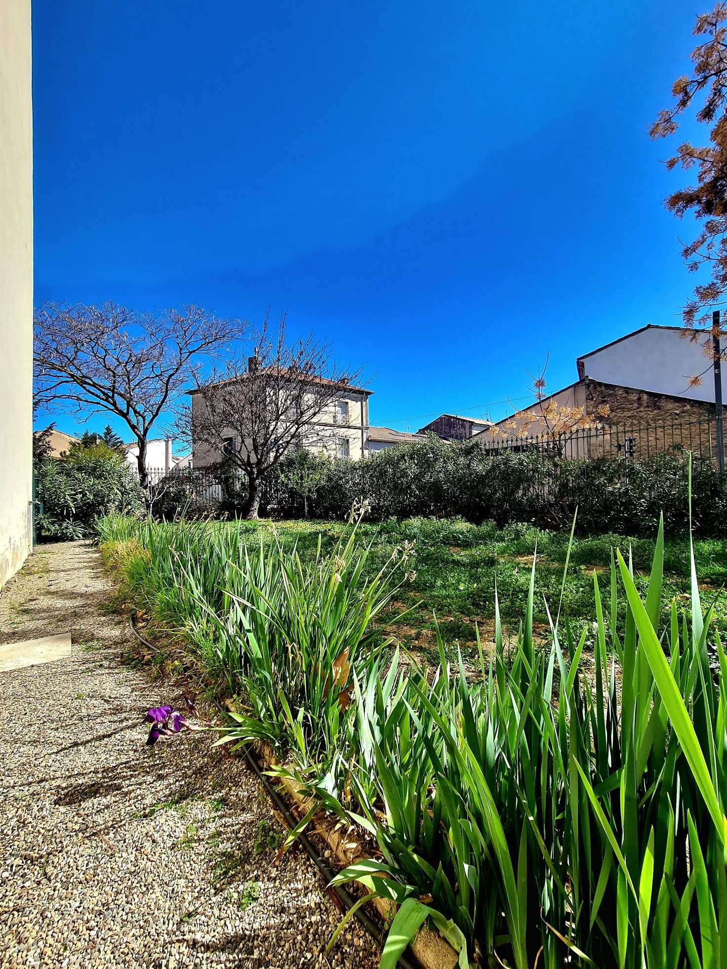 Будинок в Montady, Occitanie 11755039