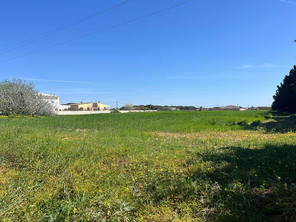 Land in Campano, Andalusia 11758340