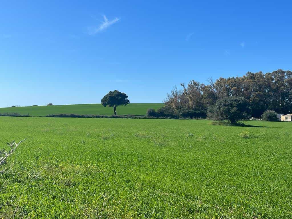 Land in Chiclana de la Frontera, Andalusia 11758345