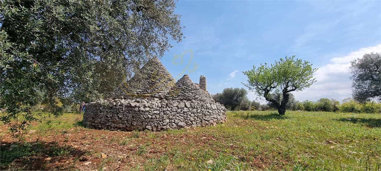 Land in Ostuni, Apulia 11770803
