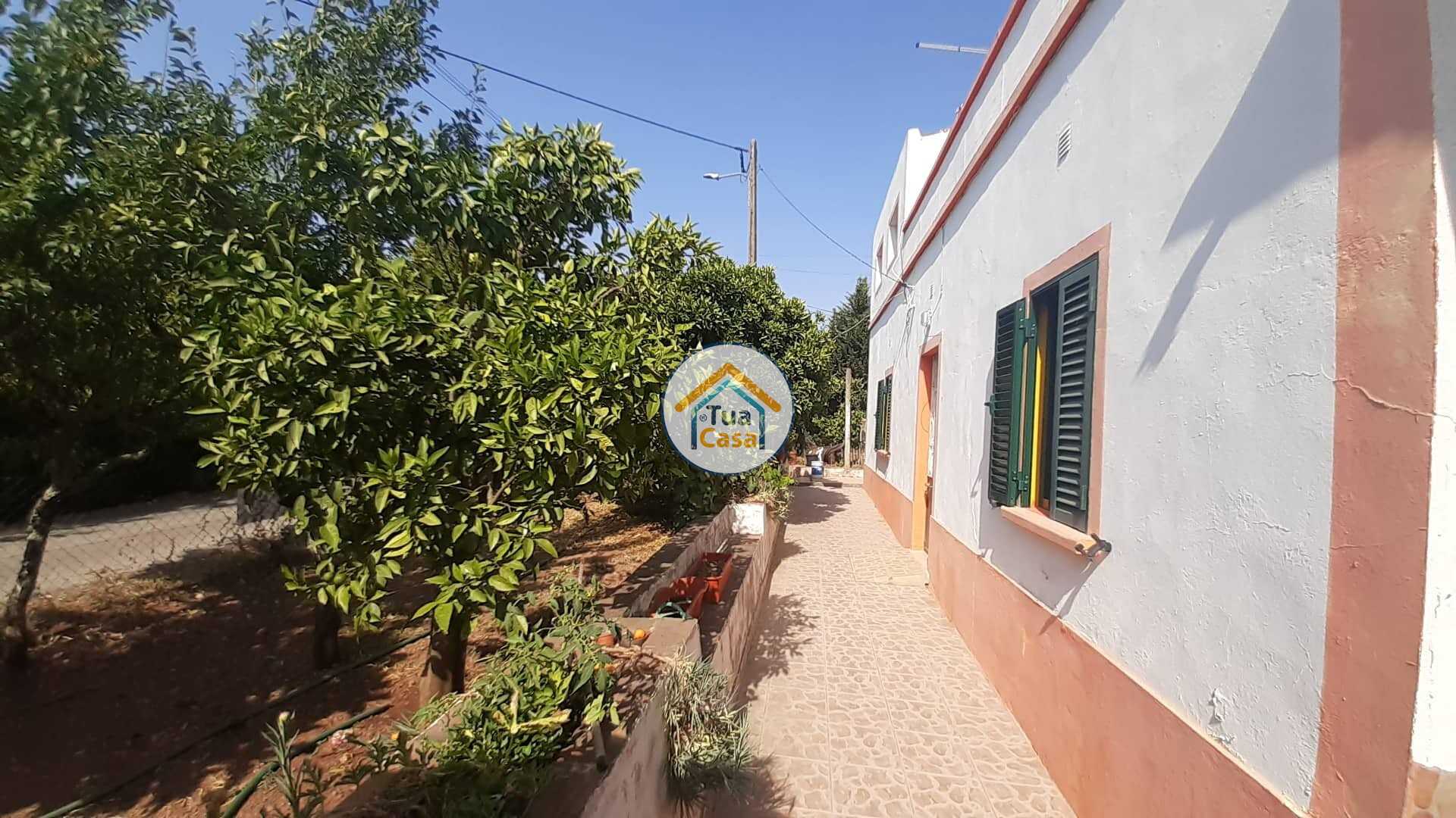 Haus im Sao Bras de Alportel, Faro 11782769