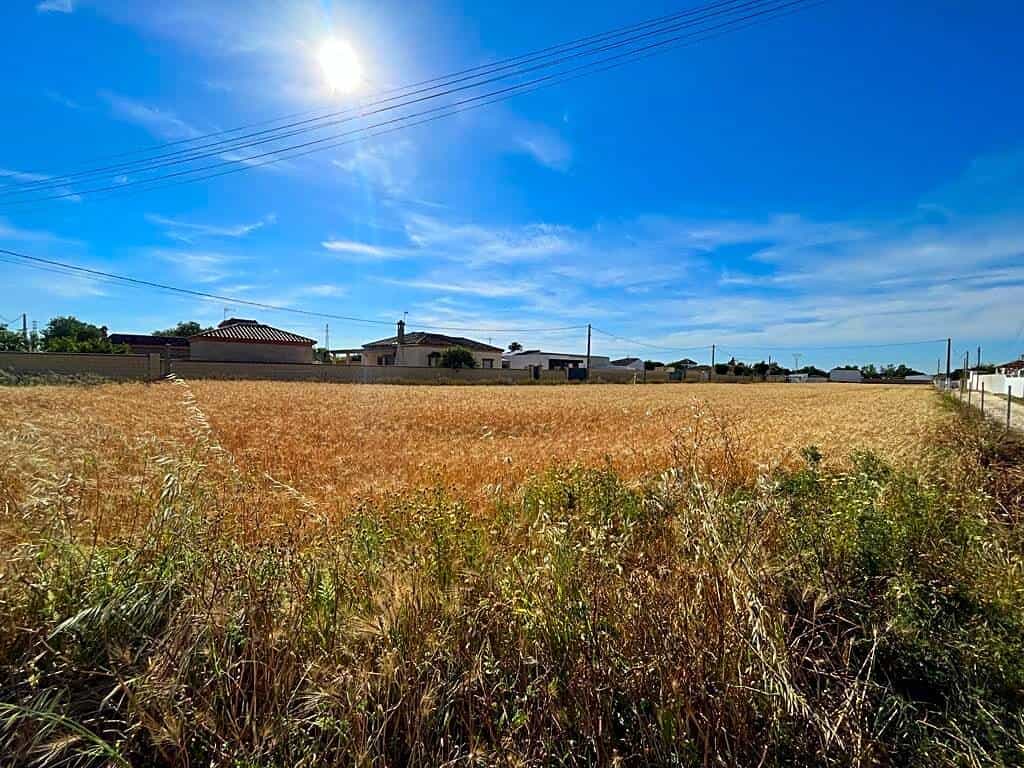 Land in Chiclana de la Frontera, Andalucía 11782889