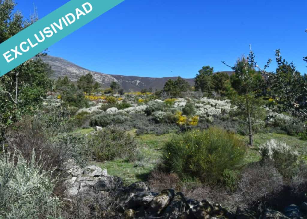Γη σε Acebo, Extremadura 11782934
