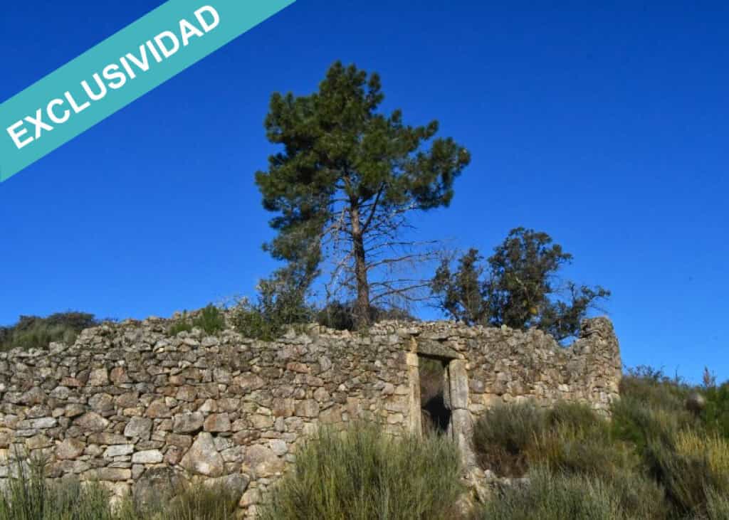 भूमि में Acebo, Extremadura 11782934