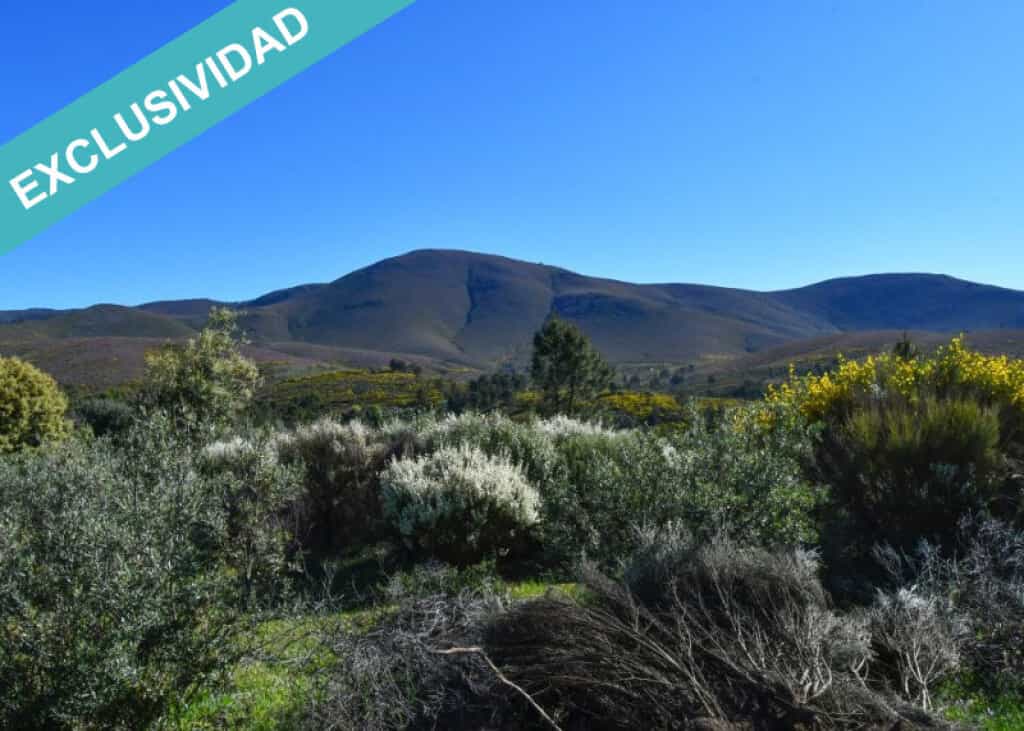 Land in Acebo, Extremadura 11782934