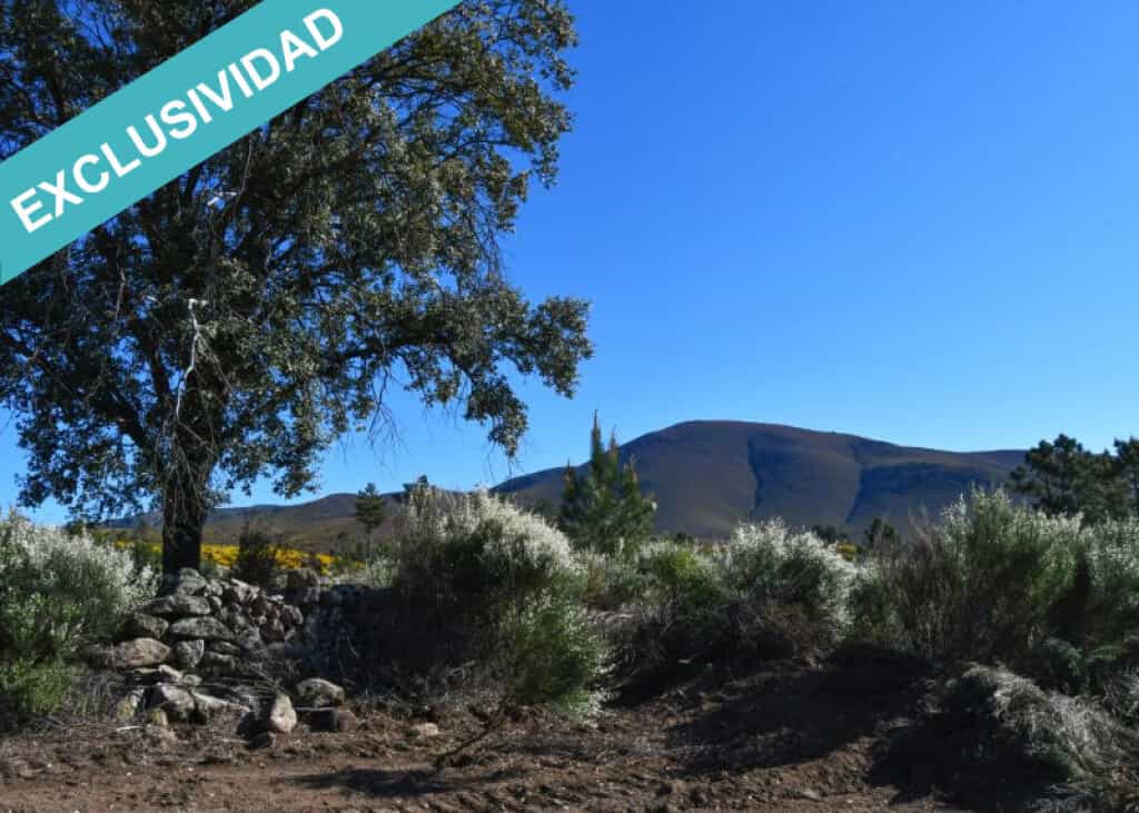 Terre dans Acebo, Extremadura 11782934