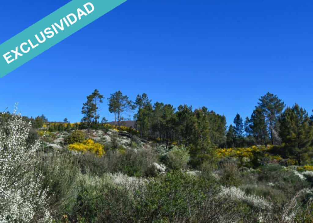 भूमि में Acebo, Extremadura 11782934