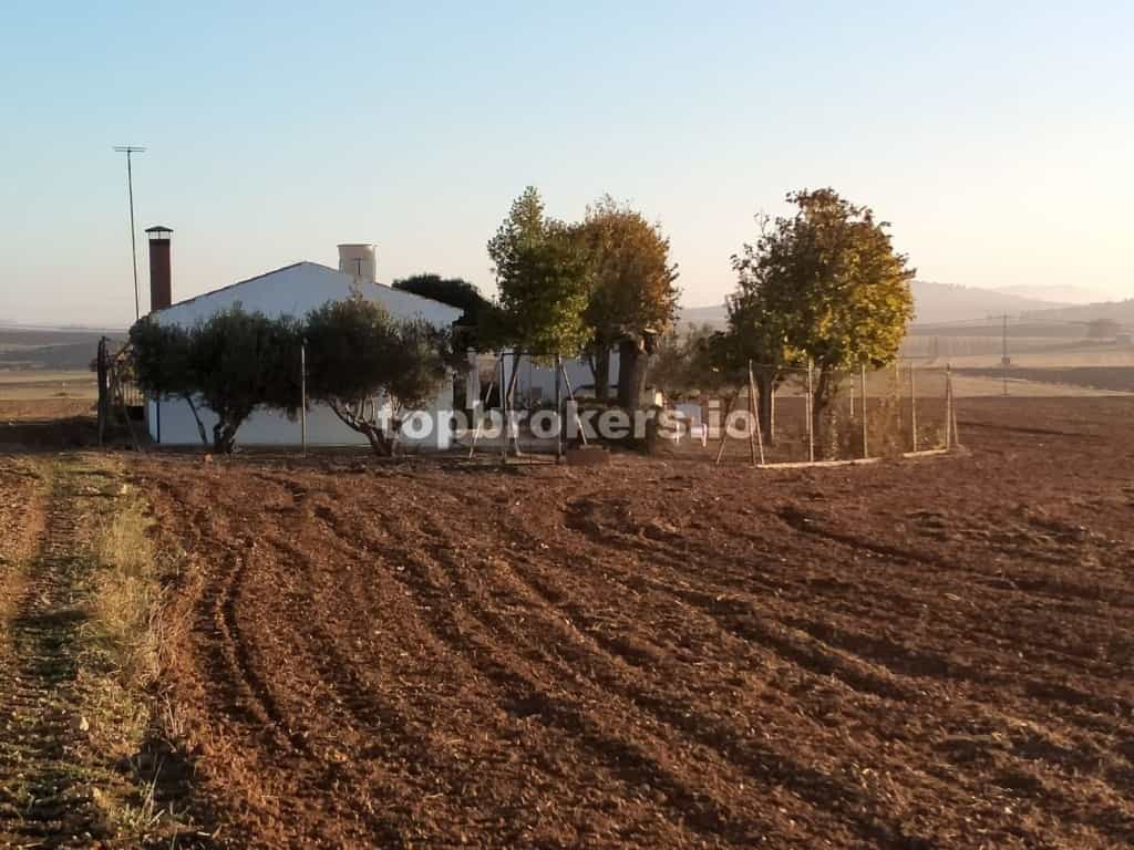 σπίτι σε Calzada de Calatrava, Castilla-La Mancha 11782954