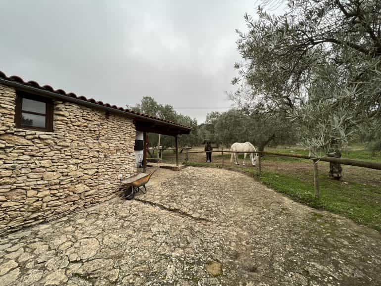 жилой дом в Ronda, Andalusia 11787706