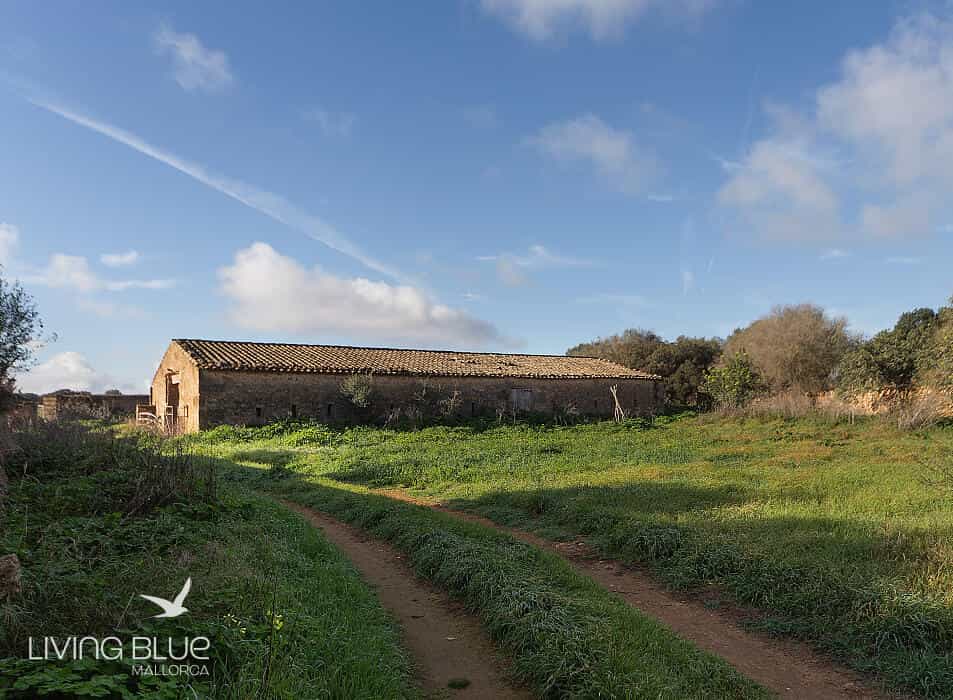House in Lluchmayor, Balearic Islands 11789223