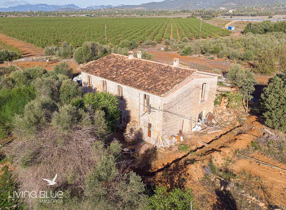 Other in Consell, Balearic Islands 11789457