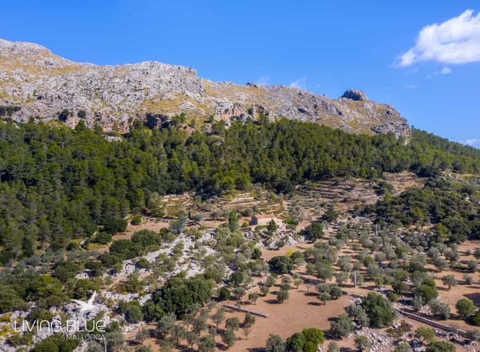 Other in Pollensa, Balearic Islands 11789717