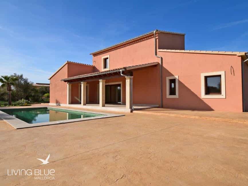 Other in Pina, Illes Balears 11789766
