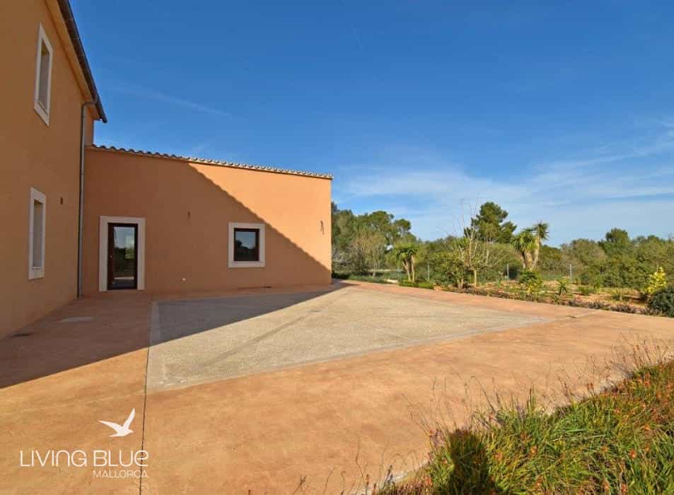Other in Pina, Illes Balears 11789779