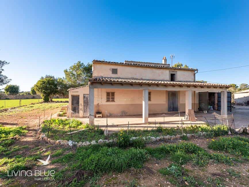 Other in Campos del Puerto, Balearic Islands 11789870