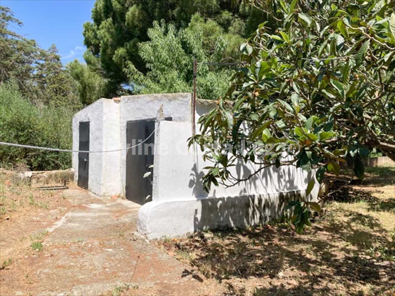 Talo sisään Vejer de la Frontera, Andalucía 11790311