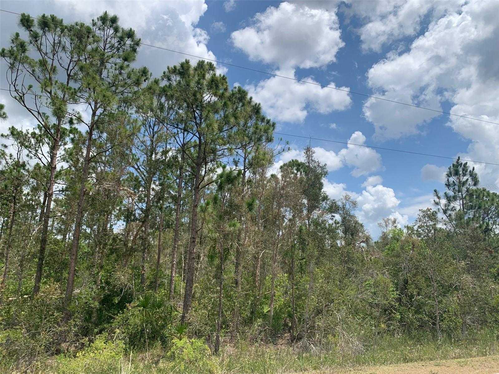 Land in Gilchrist, Florida 11791786
