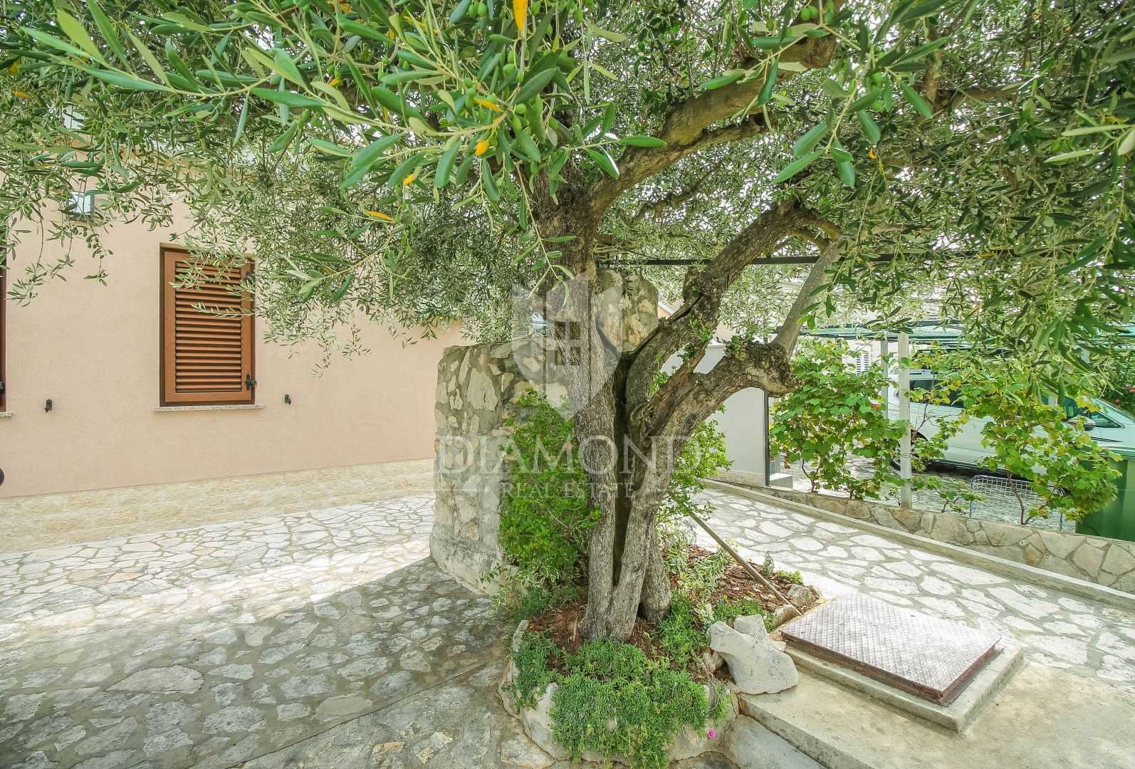 House in Crveni Vrh, Istria County 11793700