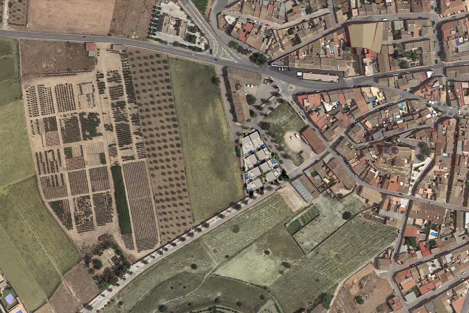 Hus i El Fondó de les Neus, Valencian Community 11800026