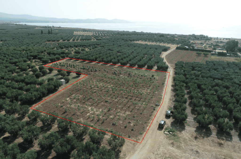 Tanah dalam Kalyves Polygyrou, Kentriki Makedonia 11816159