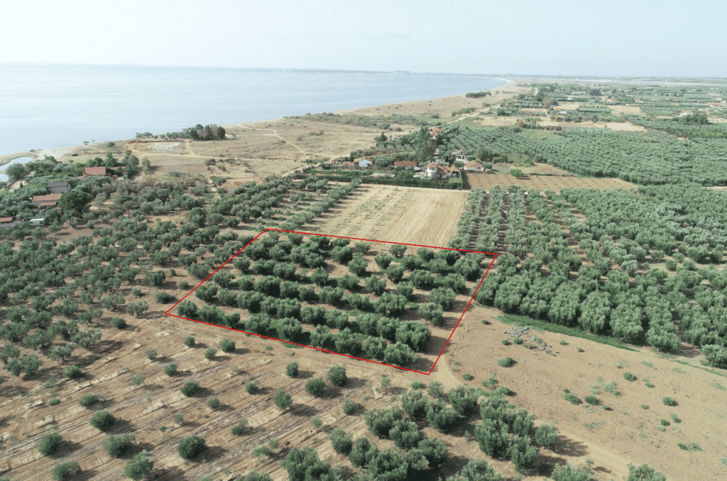 Tanah dalam Kalyves Polygyrou, Kentriki Makedonia 11816160