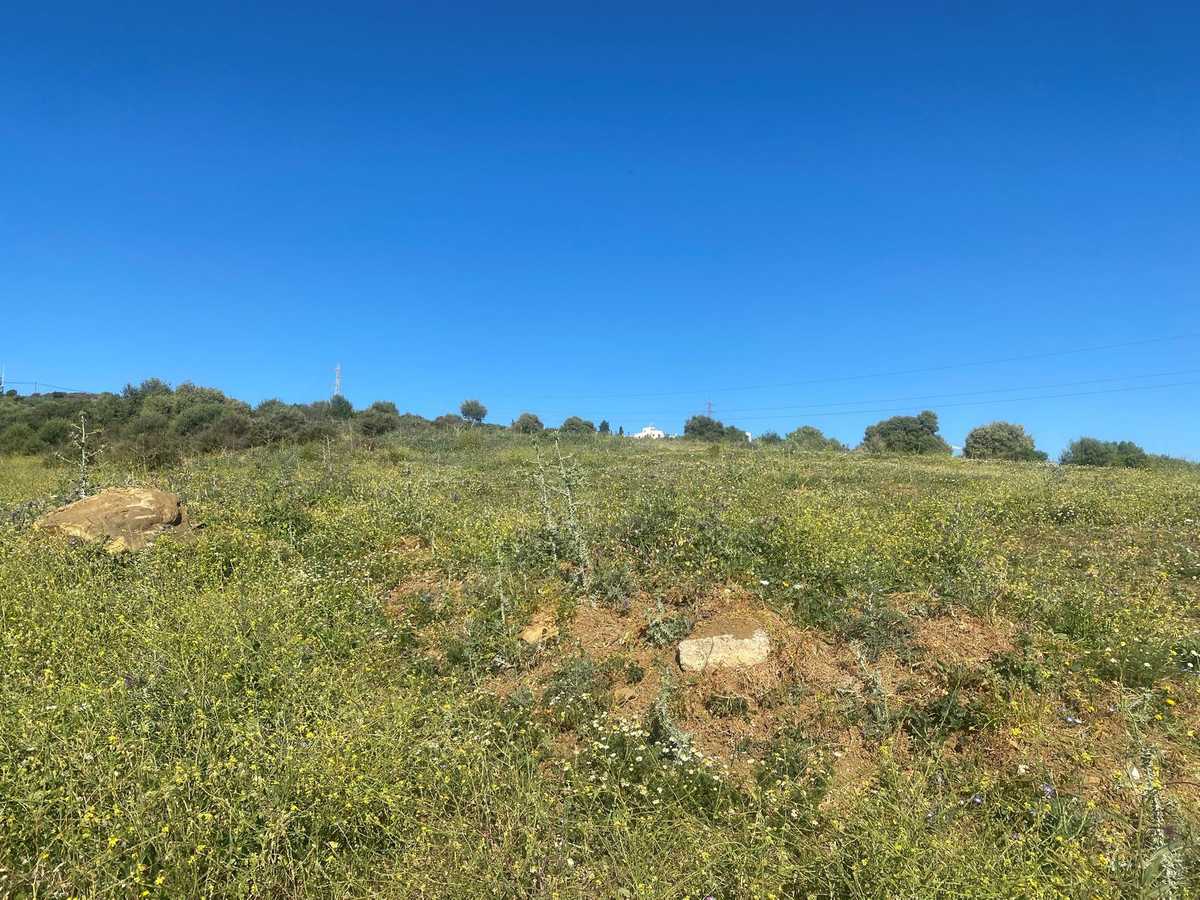 Land in Estepona, Andalusia 11816763